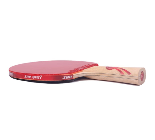 Ракетка DHS Gold Medal Ma Long 02 (carbon blade)