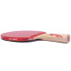 Ракетка DHS Gold Medal Ma Long 02 (carbon blade)