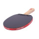 Ракетка DHS Gold Medal Ma Long 02 (carbon blade)