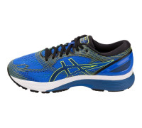Кросівки Asics Gel Nimbus 21 1011A169-400