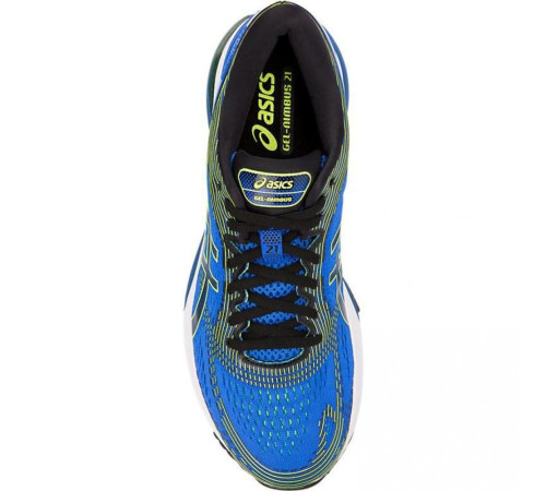 Кросівки Asics Gel Nimbus 21 1011A169-400