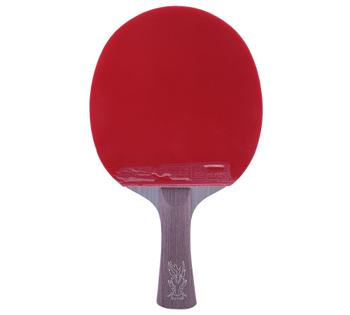 Набор DHS Ma Long