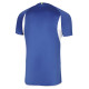 Футболка Mizuno Authentic Tee U2EA7102-22