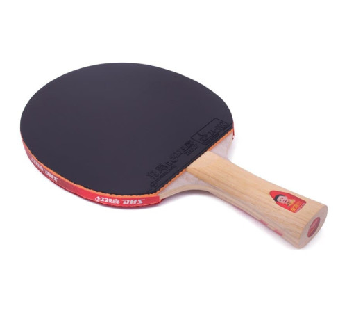 Ракетка DHS Gold Medal Ma Long 03 + м'ячі для настільного тенісу 729 Friendship 40+ 3* в ПОДАРУНОК!