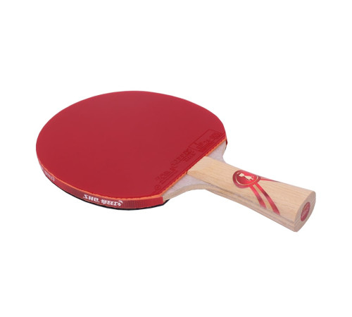 Ракетка DHS Gold Medal Ma Long 03 + м'ячі для настільного тенісу 729 Friendship 40+ 3* в ПОДАРУНОК!