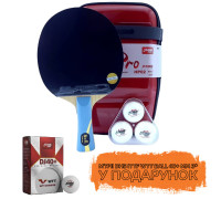 Ракетка DHS HURRICANE PRO HP02 + м'ячі для настільного тенісу DHS ITTF WTT Ball 40+ мм 3* у ПОДАРУНОК!